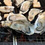 ヒメ日記 2025/07/09 15:58 投稿 ひまり 恋愛マット同好会