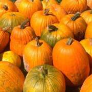 ヒメ日記 2025/10/18 22:18 投稿 ひまり 恋愛マット同好会