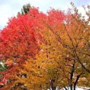 ヒメ日記 2025/11/07 19:18 投稿 ひまり 恋愛マット同好会