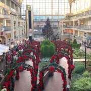 ヒメ日記 2025/12/07 08:18 投稿 ひまり 恋愛マット同好会