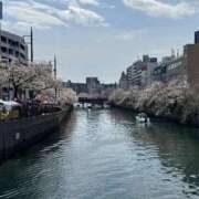 ヒメ日記 2025/04/06 00:16 投稿 うみ カワサキ EROTIC