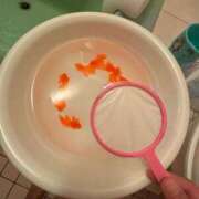 ヒメ日記 2025/08/06 20:45 投稿 うみ カワサキ EROTIC