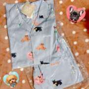 ヒメ日記 2025/08/04 16:50 投稿 はつね☆★★★★ デリヘル パイ