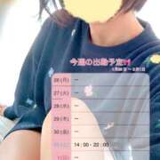 ヒメ日記 2026/01/26 12:06 投稿 はつね☆★★★★ デリヘル パイ