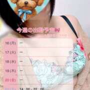 ヒメ日記 2026/03/17 09:18 投稿 はつね☆★★★★ デリヘル パイ