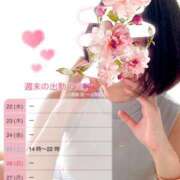 ヒメ日記 2026/04/23 07:18 投稿 はつね☆★★★★ デリヘル パイ