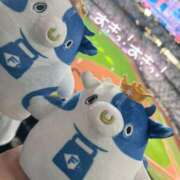 ヒメ日記 2025/01/21 08:53 投稿 はるか 花火-hanabi-(すすきの)