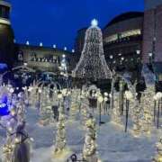 ヒメ日記 2025/01/29 19:56 投稿 はるか 花火-hanabi-(すすきの)