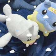 ヒメ日記 2025/01/31 08:45 投稿 はるか 花火-hanabi-(すすきの)