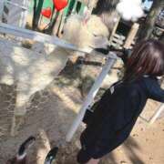 ヒメ日記 2025/02/01 08:33 投稿 はるか 花火-hanabi-(すすきの)