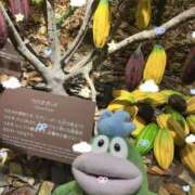 ヒメ日記 2025/03/21 15:53 投稿 はるか 花火-hanabi-(すすきの)