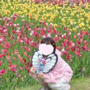 ヒメ日記 2025/03/26 01:45 投稿 はるか 花火-hanabi-(すすきの)