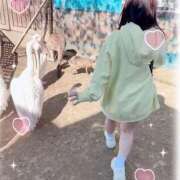 ヒメ日記 2025/04/24 02:13 投稿 はるか 花火-hanabi-(すすきの)