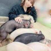 ヒメ日記 2025/06/11 00:13 投稿 はるか 花火-hanabi-(すすきの)