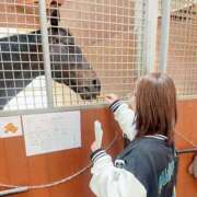 ヒメ日記 2025/06/12 15:53 投稿 はるか 花火-hanabi-(すすきの)