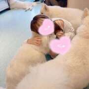 ヒメ日記 2025/07/14 07:03 投稿 はるか 花火-hanabi-(すすきの)