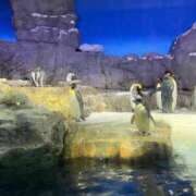 ヒメ日記 2025/07/16 11:53 投稿 はるか 花火-hanabi-(すすきの)