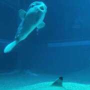 ヒメ日記 2025/07/16 12:45 投稿 はるか 花火-hanabi-(すすきの)