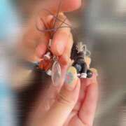 ヒメ日記 2025/07/27 18:47 投稿 はるか 花火-hanabi-(すすきの)