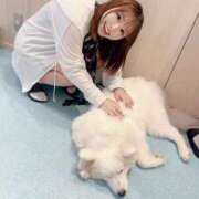 ヒメ日記 2025/08/20 14:33 投稿 はるか 花火-hanabi-(すすきの)