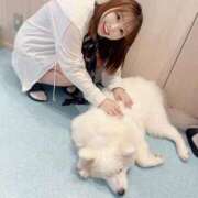 ヒメ日記 2025/08/30 07:43 投稿 はるか 花火-hanabi-(すすきの)