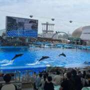 ヒメ日記 2025/09/03 12:04 投稿 はるか 花火-hanabi-(すすきの)