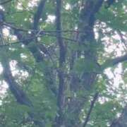 ヒメ日記 2025/09/10 16:43 投稿 はるか 花火-hanabi-(すすきの)