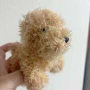 ヒメ日記 2025/09/16 09:33 投稿 はるか 花火-hanabi-(すすきの)