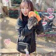 ヒメ日記 2025/10/12 08:23 投稿 はるか 花火-hanabi-(すすきの)