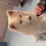 ヒメ日記 2025/10/13 21:13 投稿 はるか 花火-hanabi-(すすきの)