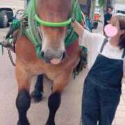 ヒメ日記 2025/10/14 23:43 投稿 はるか 花火-hanabi-(すすきの)