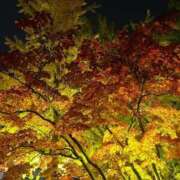 ヒメ日記 2025/10/31 20:13 投稿 はるか 花火-hanabi-(すすきの)