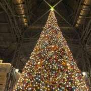 ヒメ日記 2025/11/26 23:13 投稿 はるか 花火-hanabi-(すすきの)