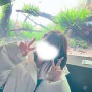 ヒメ日記 2025/12/09 09:40 投稿 はるか 花火-hanabi-(すすきの)