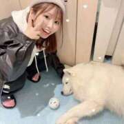 ヒメ日記 2025/12/17 17:43 投稿 はるか 花火-hanabi-(すすきの)