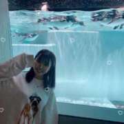 ヒメ日記 2026/01/06 01:43 投稿 はるか 花火-hanabi-(すすきの)