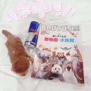 ヒメ日記 2026/01/11 19:03 投稿 はるか 花火-hanabi-(すすきの)