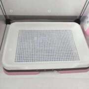 ヒメ日記 2026/02/16 11:06 投稿 はるか 花火-hanabi-(すすきの)