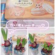 ヒメ日記 2026/02/23 21:34 投稿 はるか 花火-hanabi-(すすきの)