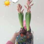 ヒメ日記 2026/02/27 15:13 投稿 はるか 花火-hanabi-(すすきの)