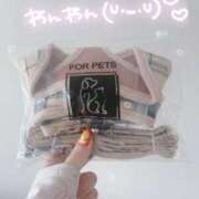 ヒメ日記 2026/03/02 17:33 投稿 はるか 花火-hanabi-(すすきの)