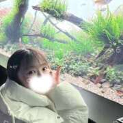 ヒメ日記 2026/03/12 08:22 投稿 はるか 花火-hanabi-(すすきの)