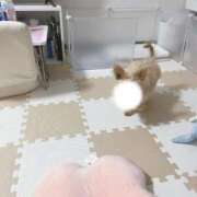 ヒメ日記 2026/04/07 21:00 投稿 はるか 花火-hanabi-(すすきの)