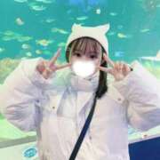 ヒメ日記 2026/04/12 21:13 投稿 はるか 花火-hanabi-(すすきの)