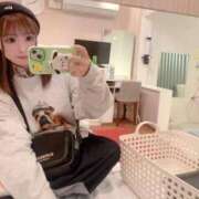 ヒメ日記 2026/04/13 10:33 投稿 はるか 花火-hanabi-(すすきの)