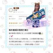 ヒメ日記 2026/04/18 08:45 投稿 はるか 花火-hanabi-(すすきの)