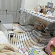 ヒメ日記 2026/04/26 23:33 投稿 はるか 花火-hanabi-(すすきの)