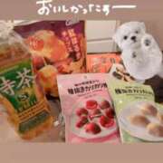 ヒメ日記 2026/04/27 12:03 投稿 はるか 花火-hanabi-(すすきの)