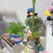 ヒメ日記 2026/05/09 21:17 投稿 はるか 花火-hanabi-(すすきの)