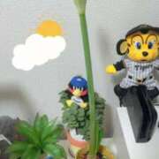 ヒメ日記 2026/05/17 07:43 投稿 はるか 花火-hanabi-(すすきの)